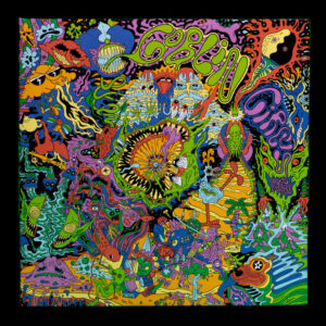 Vinilo